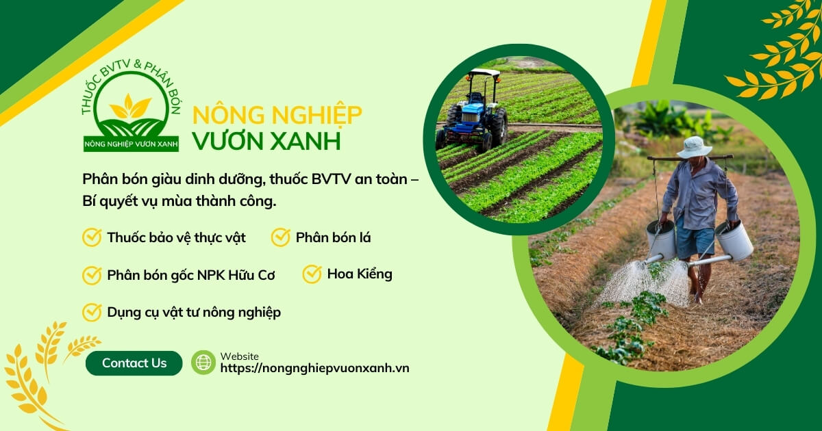 Bình Điền Vươn Xanh - Bảo vệ thực vật chất lượng cao