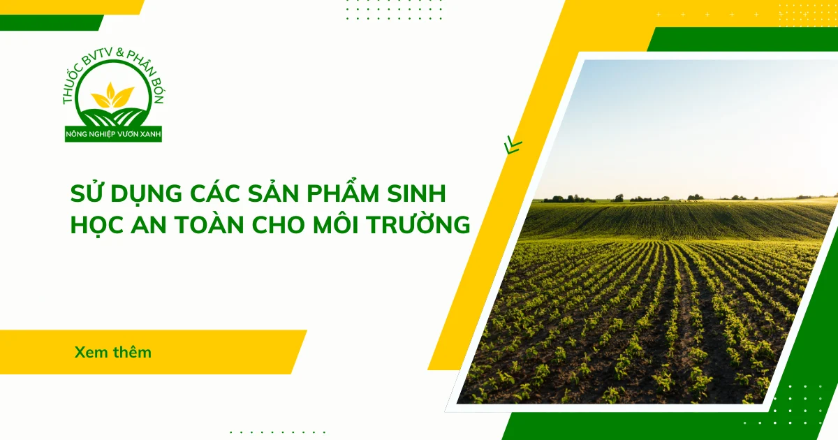 Sử dụng các sản phẩm sinh học an toàn cho môi trường
