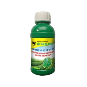 Phân bón Đầu Trâu MK Xanh Chuyên Chè